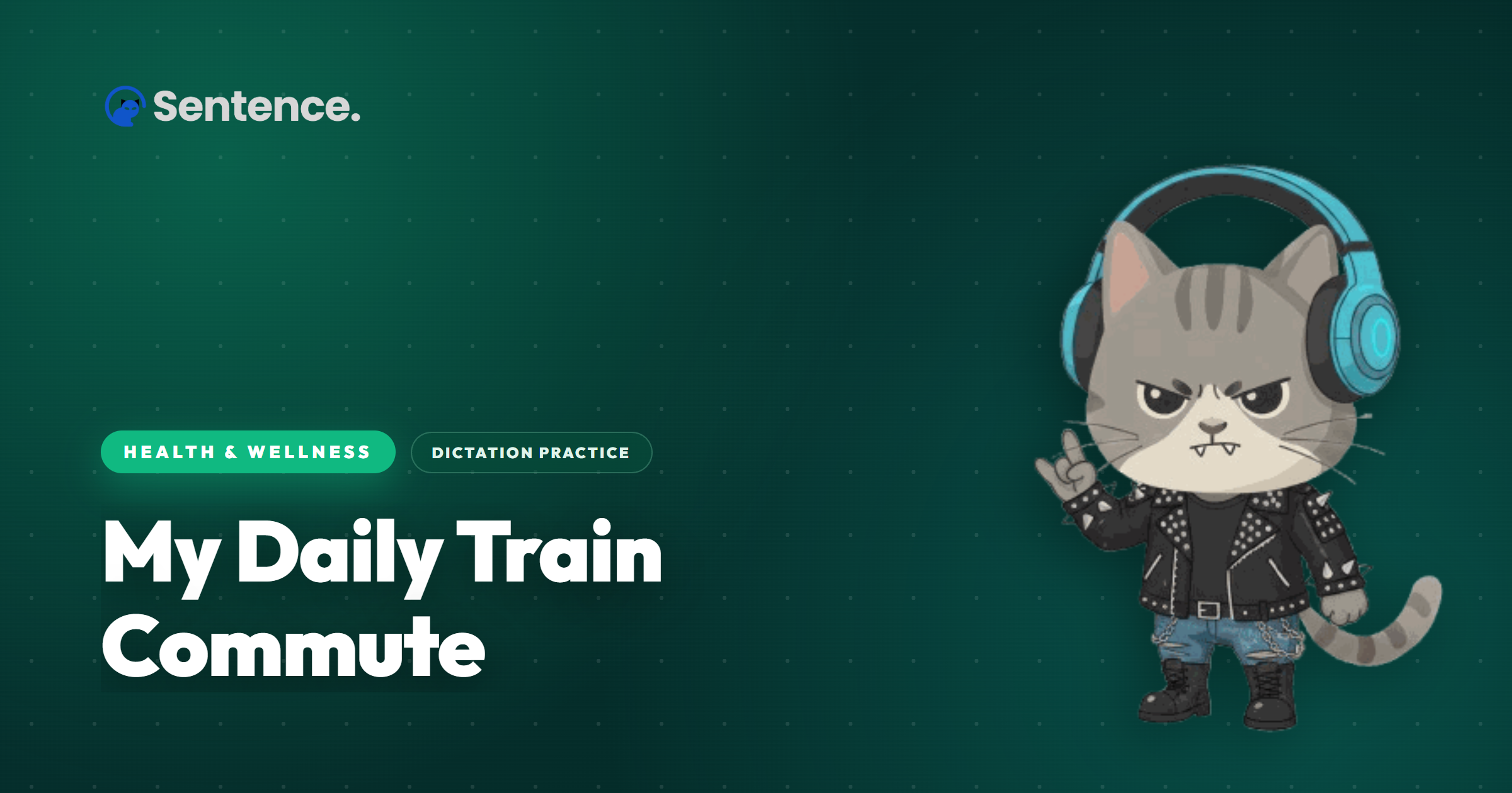 My Daily Train Commute