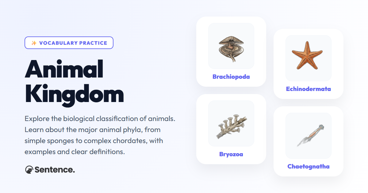 Animal Kingdom Vocabulary