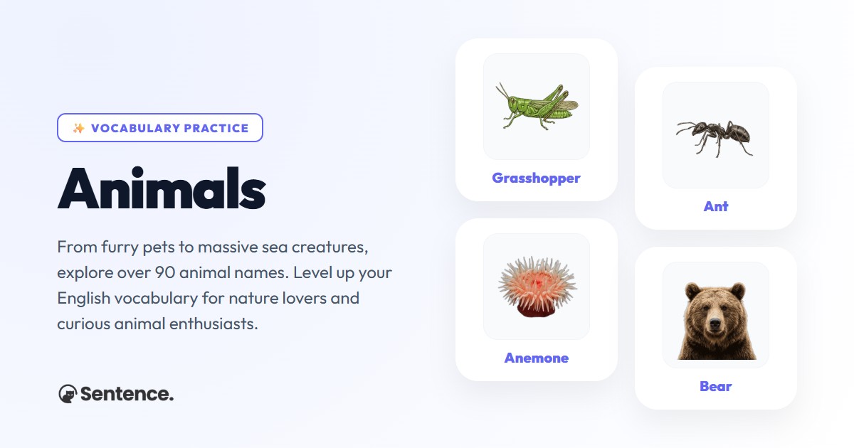 Animals Vocabulary