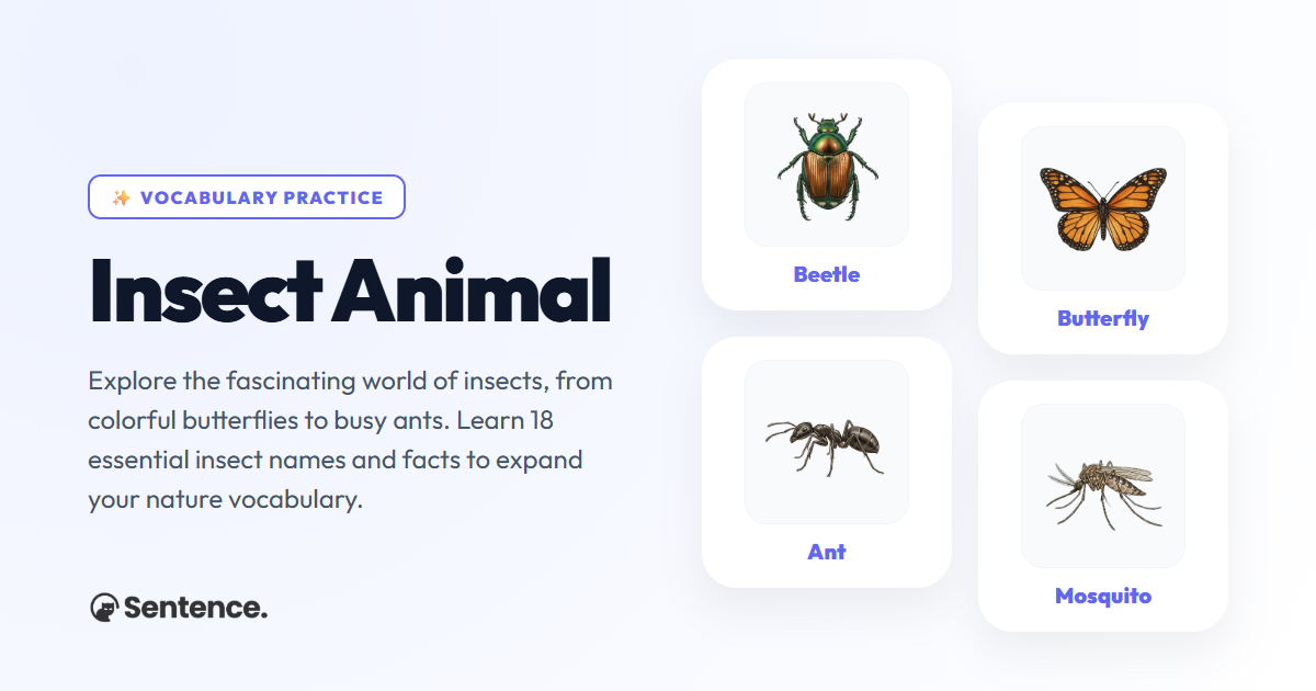 Insect Animal Vocabulary