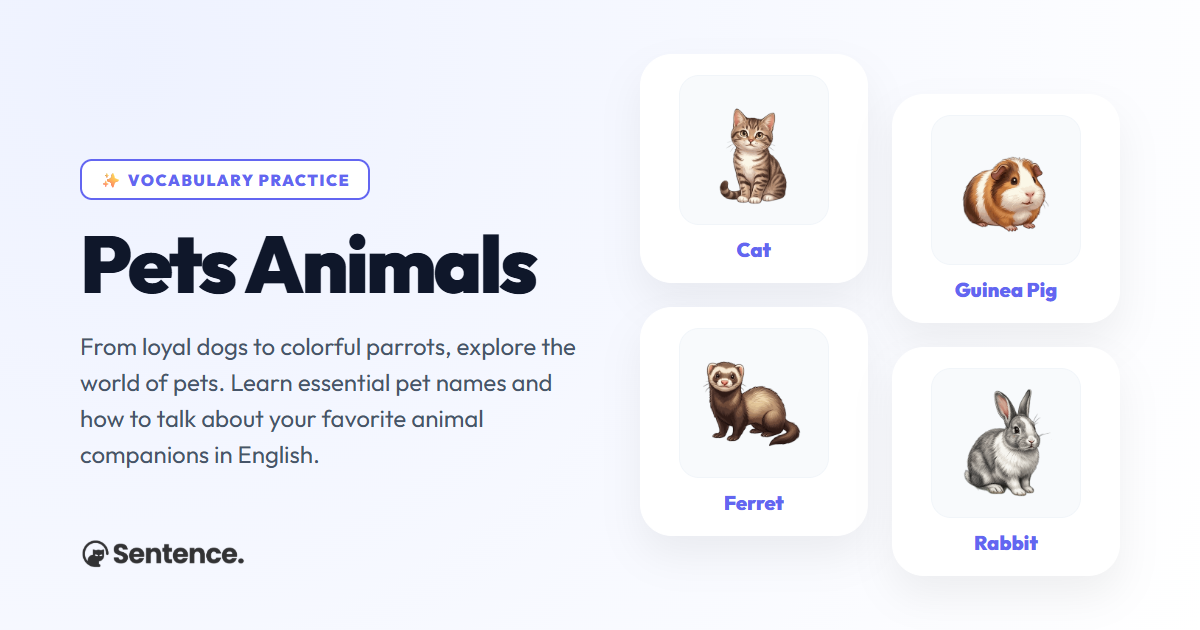 Pets Animals Vocabulary