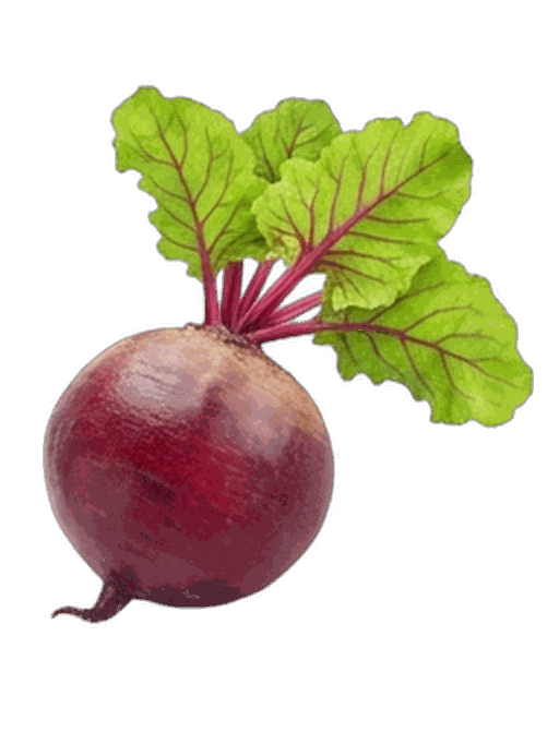 Beetroot