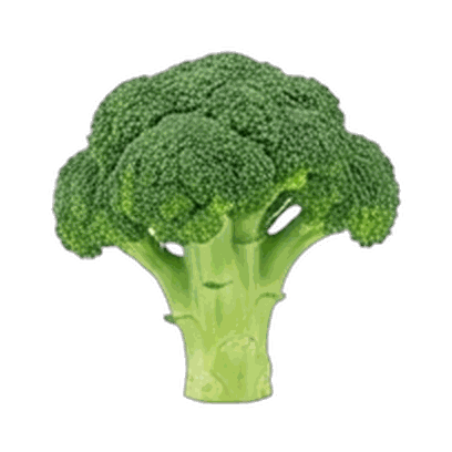 Broccoli