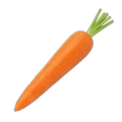 Carrot