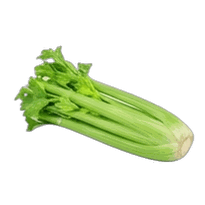 Celery