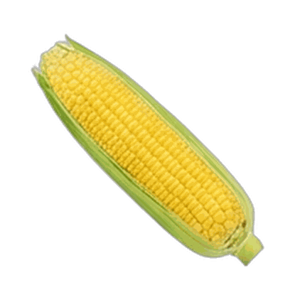 Corn