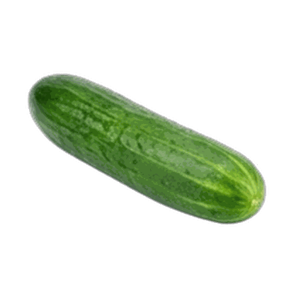 Cucumber