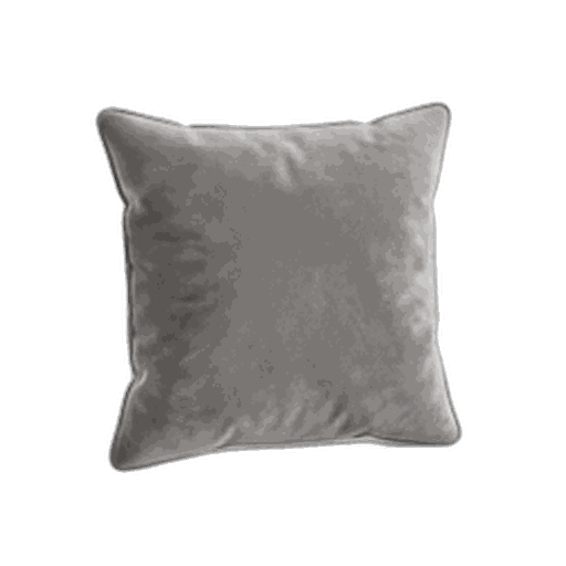 Cushion