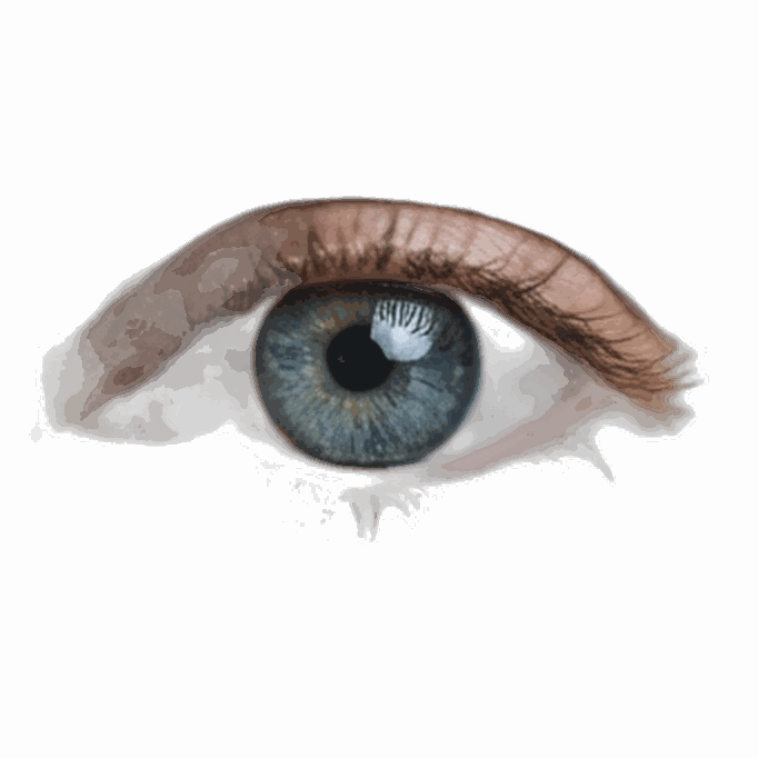 Eye