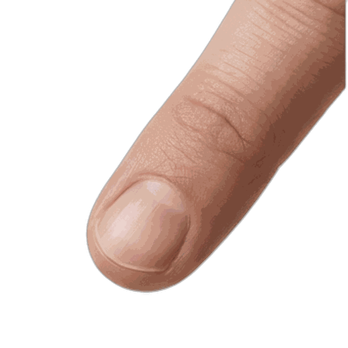 Finger