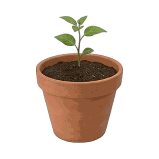 Flower Pot