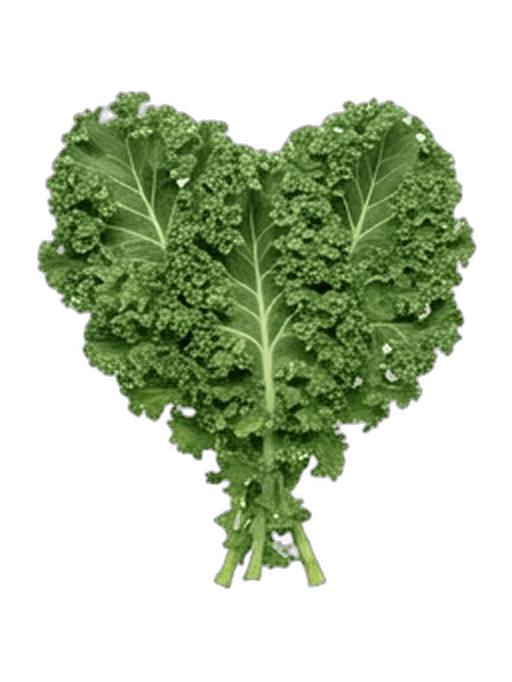 Kale