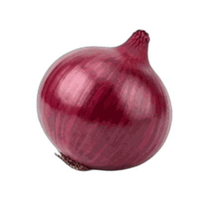 Onion