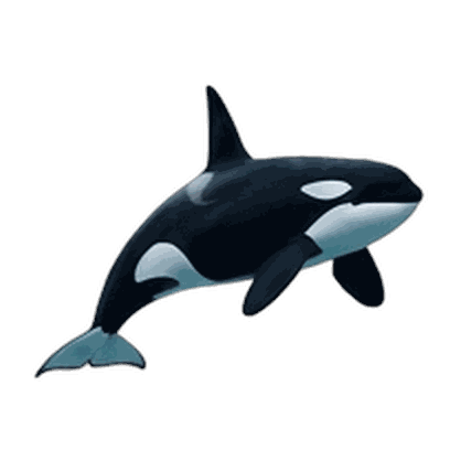 Orca