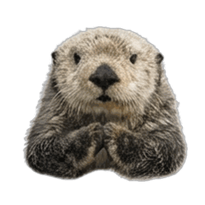 Otter
