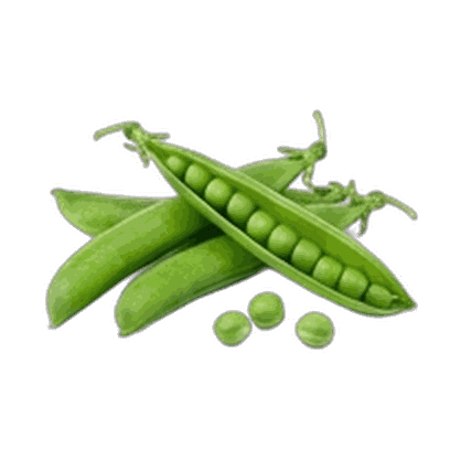 Pea