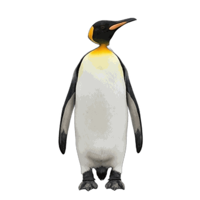 Penguin
