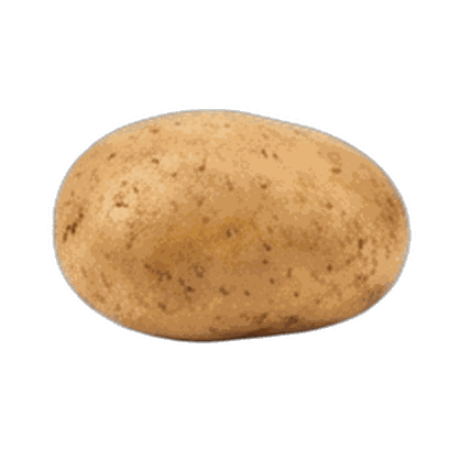 Potato