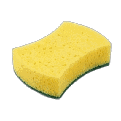Sponge
