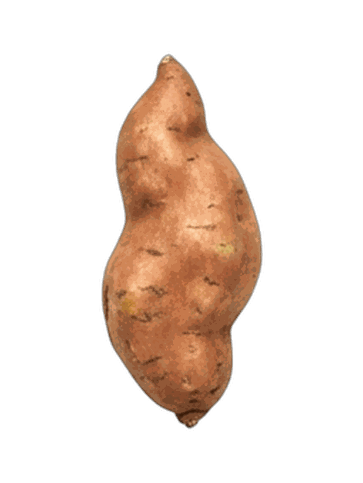 Sweet Potato