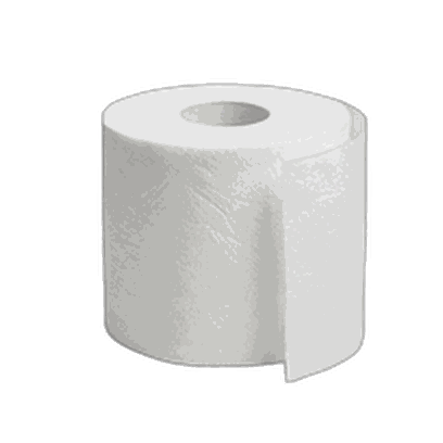 Toilet Paper
